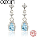 Stellar Moissanite Stud Earrings – 925 Sterling Silver with GRA Certificate